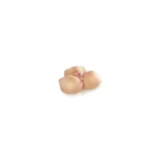 Masturbador Endurance Jack Ass Real Body Consoladores - nacloset