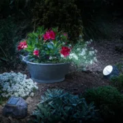 Luz de Parede Galix Casa | Jardim - nacloset 2