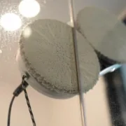 Robô Limpa-Vidros Inteligente EZIclean Windobot S3 Max Aspiradores e robôs - nacloset 2