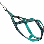 Arnês para Cães Olympia XS Animais de Estimação - nacloset 2