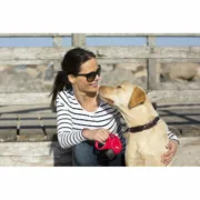 Trela para Cães Flexi Flexi 5 m Preto S Animais de Estimação - nacloset 2