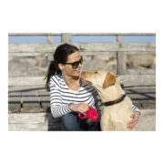 Trela para Cães Flexi NEW CLASSIC Preto M Animais de Estimação - nacloset 2