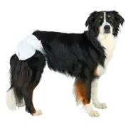 Fraldas Trixie 23634 Cão M/L Animais de Estimação - nacloset 2
