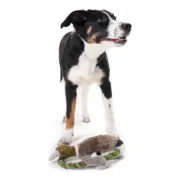 Peluche para cães Hunter Wildlife Train Com corda Pato (26 cm) Animais de Estimação - nacloset 2