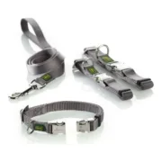 Coleira para Cães Alu-Strong Cinzento Tamanho S (30-45 cm) Animais de Estimação - nacloset 2