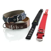 Coleira para Cães Hunter Neoprene Reflect Castanho (39-46 cm) Animais de Estimação - nacloset 2