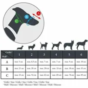 Açaime Hunter Albury Preto Tamanho 6 (43 cm) (85 cm) (10 cm) Animais de Estimação - nacloset 2