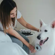 Escova para cardar Hunter Limpeza automática Animais de Estimação - nacloset 2