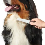 Pentear Hunter Giratório Ancinho Tamanho M Animais de Estimação - nacloset 2