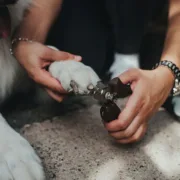Corta-unhas Hunter Tamanho L Animais de Estimação - nacloset 2