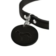 Coleira para Cães Hunter Aalborg Preto XS 24-29 cm Animais de Estimação - nacloset 2