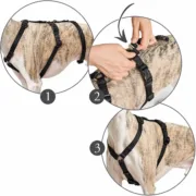Arnês para Cães Hunter 48-70 cm Vermelho S/M 36-51 cm Animais de Estimação - nacloset 2