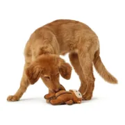 Brinquedo para cães Hunter Togh Toys Castanho 25 cm Macaco Animais de Estimação - nacloset 2