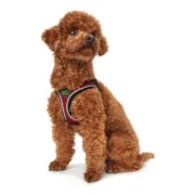 Arnês para Cães Hunter Hilo-Comfort Vermelho (30-35 cm) Animais de Estimação - nacloset 2