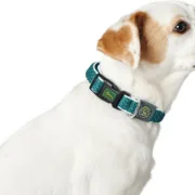 Coleira para Cães Hunter Basic Fio Lima 20 Animais de Estimação - nacloset 2