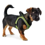 Arnês para Cães Hunter Hilo-Comfort Lima Tamanho XXS (26-30 cm) Animais de Estimação - nacloset 2