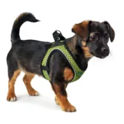 Arnês para Cães Hunter Hilo-Comfort Lima Tamanho XS (35-37 cm) Animais de Estimação - nacloset 2