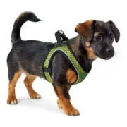 Arnês para Cães Hunter Hilo-Comfort Tamanho S Lima (42-48 cm) Animais de Estimação - nacloset 2