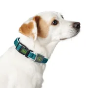 Coleira para Cães Hunter Vario Basic Fios Castanho Tamanho S (30-43 cm) Animais de Estimação - nacloset