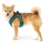 Arnês para Cães Hunter Hilo-Comfort Turquesa XS/S (37-42 cm) Animais de Estimação - nacloset 2
