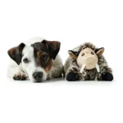 Brinquedo para cães Hunter Faro Cinzento Porco Animais de Estimação - nacloset 2