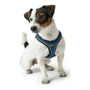 Arnês para Cães Hunter 35-37 cm Azul XS Animais de Estimação - nacloset 2