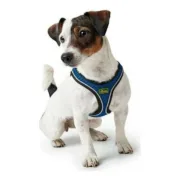 Arnês para Cães Hunter Hilo-Comfort Azul XS/S (37-42 cm) Animais de Estimação - nacloset 2