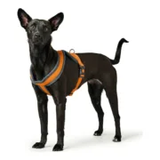Arnês para Cães Hunter London Comfort 39-47 cm Laranja XS/S Animais de Estimação - nacloset