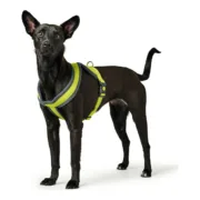 Arnês para Cães Hunter London Comfort XS-S 39-47 cm Lima Animais de Estimação - nacloset