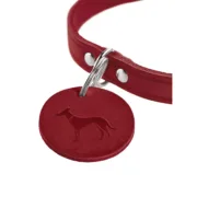 Coleira para Cães Hunter Aalborg Vermelho XS/S 28-33 cm Animais de Estimação - nacloset 2
