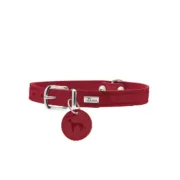 Coleira para Cães Hunter Aalborg Vermelho XS/S 28-33 cm Animais de Estimação - nacloset