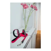 Trela para Cães Hunter CONVENIENCE 2 x 120 cm Cor de Rosa Animais de Estimação - nacloset 2