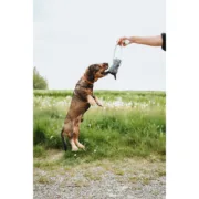 Brinquedo para cães Hunter NEBRASKA Bege Animais de Estimação - nacloset 2