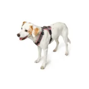 Arnês para Cães Hunter Cor de Rosa 31-49 cm Animais de Estimação - nacloset 2