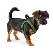 Arnês para Cães Hunter Comfort Cor de Rosa XXS 26-30 cm Animais de Estimação - nacloset 2
