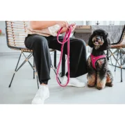 Arnês para Cães Hunter Comfort Fúcsia M 55-60 cm Animais de Estimação - nacloset 2