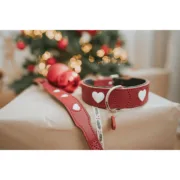Coleira para Cães Hunter Love Vermelho XS 24-28 cm Animais de Estimação - nacloset 2