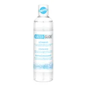 Lubrificante Waterglide 300 ml Lubrificantes à base de água - nacloset