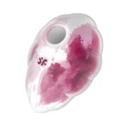 Succionador de clítoris Satisfyer Cloud Dancer Vermelho Sexshop - nacloset