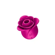 Succionador de clítoris Satisfyer Pro 2 Modern Cor de Rosa Sexshop - nacloset