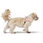 Arnês para Cães Hunter SOHO MINI Cor de Rosa XXS/XS Animais de Estimação - nacloset 2