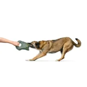 Brinquedo para cães Hunter Tough Tundra Verde Coruja Animais de Estimação - nacloset 2