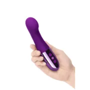 Vibrador de Ponto G Le Wand Roxo Sexshop - nacloset 2