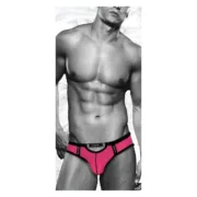 Cuecas clássicas Envy Cor de Rosa L/XL Cuecas - nacloset 2