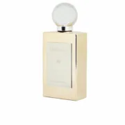 Perfume Delfy AMBER LEATHER EDP 50 ml Perfumaria | Cosmética - nacloset