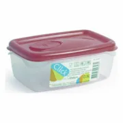 Lancheira Retangular com Tampa Dem 39582 Retangular 14,5 x 10 x 6 cm (24 Unidades) (0,5 L) (14,5 x 10 x 6 cm) A Preço de Revenda - nacloset 2