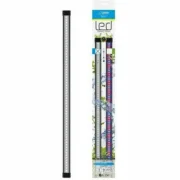 Leve LED Ciano Cla20 1,5 W Animais de Estimação - nacloset