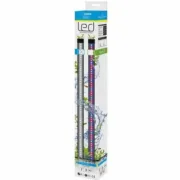 Leve LED Ciano Cla20 1,5 W Animais de Estimação - nacloset 2