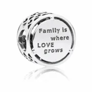 Charme feminino Pandora OPENWORK FAMILY ROOTS Acessórios de Moda - nacloset 2