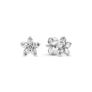 Brincos femininos Pandora 299239C01 Acessórios de Moda - nacloset